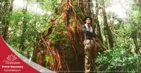 Tour trekking vườn quốc gia Bidoup 3 ngày 2 đêm