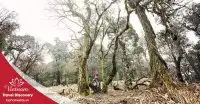 Tour trekking leo núi Khang Su Văn 3 ngày 2 đêm