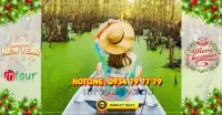 Tour miền tây Cà Mau - Cần Thơ - Sóc Trăng 3 ngày 3 đêm Tết Dương Lịch 2023