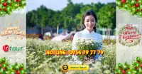 Tour miền Tây Đồng Tháp - Chùa Lá Sen 2 ngày 1 đêm Tết Dương Lịch 2023